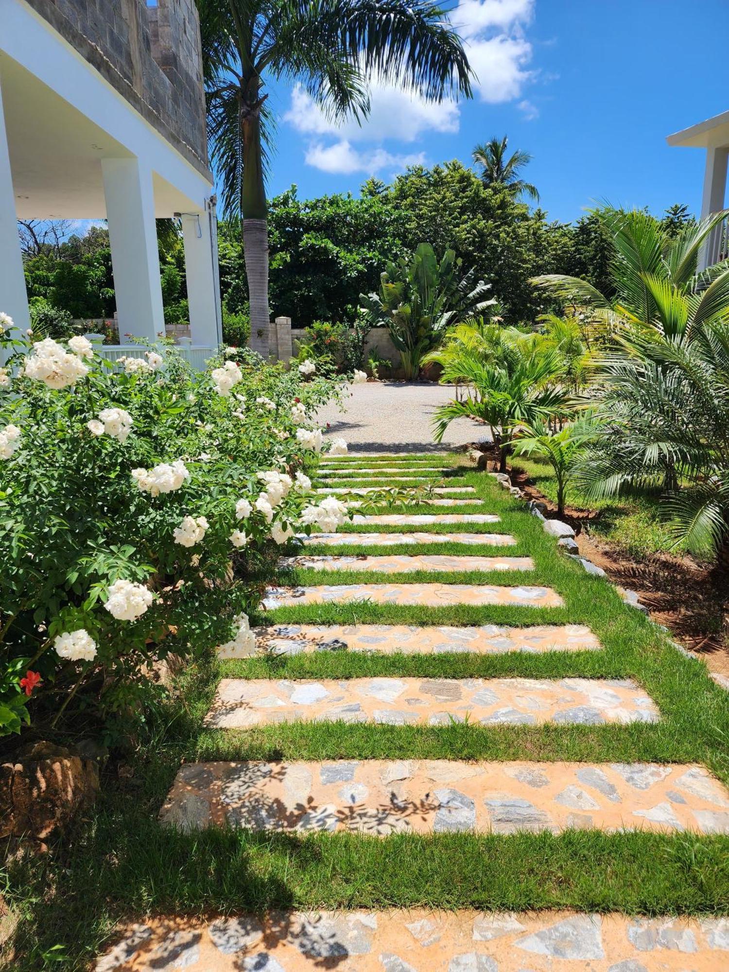 Bella Villa Room With Large Pool And Close To Beach Las Galeras Kültér fotó