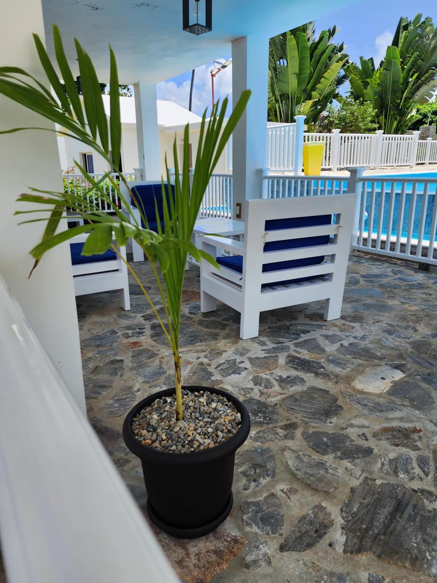 Bella Villa Room With Large Pool And Close To Beach Las Galeras Kültér fotó